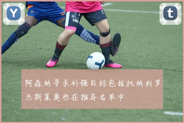 阿森纳寻求补强目标包括托纳利罗杰斯莱奥也在推荐名单中