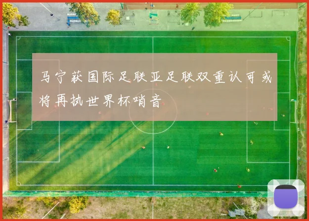 马宁获国际足联亚足联双重认可或将再执世界杯哨音